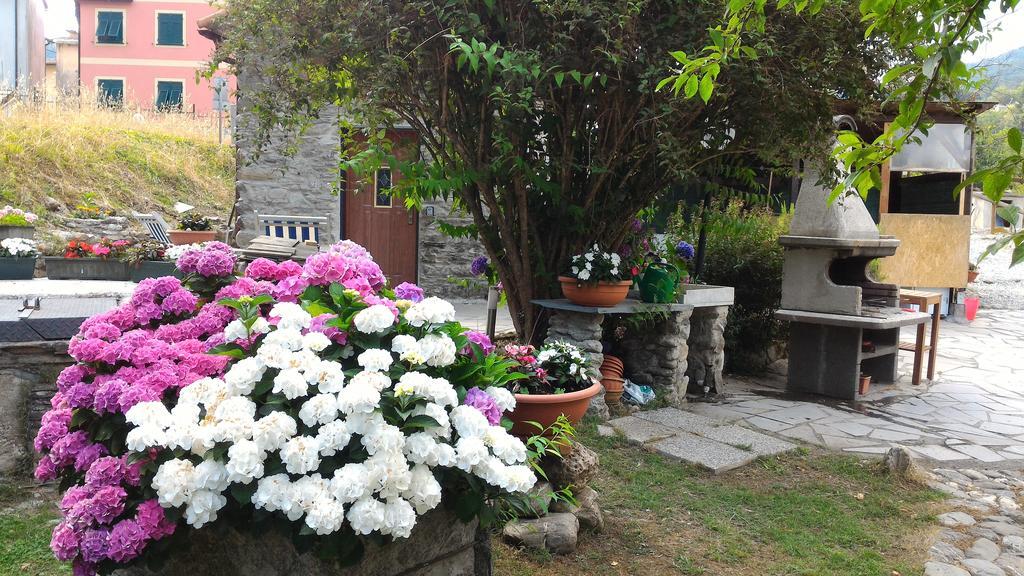 Casa La Rosa